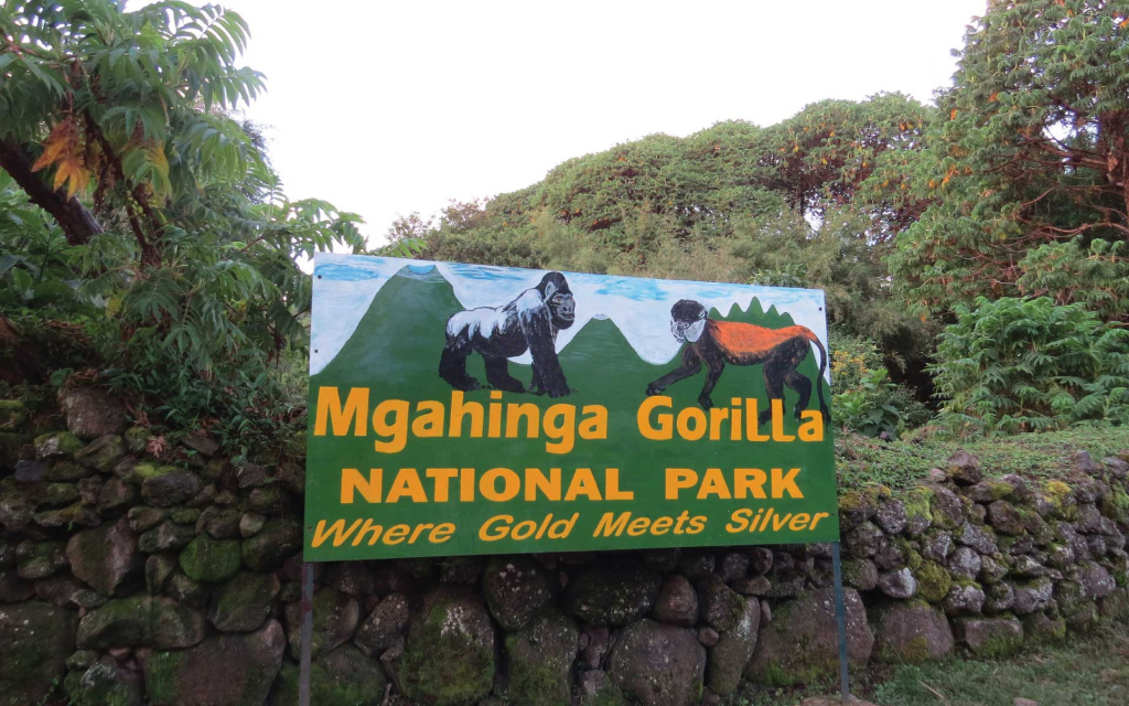 Why not Mgahinga Gorilla National Park