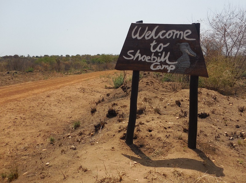 Shoebill Campsite