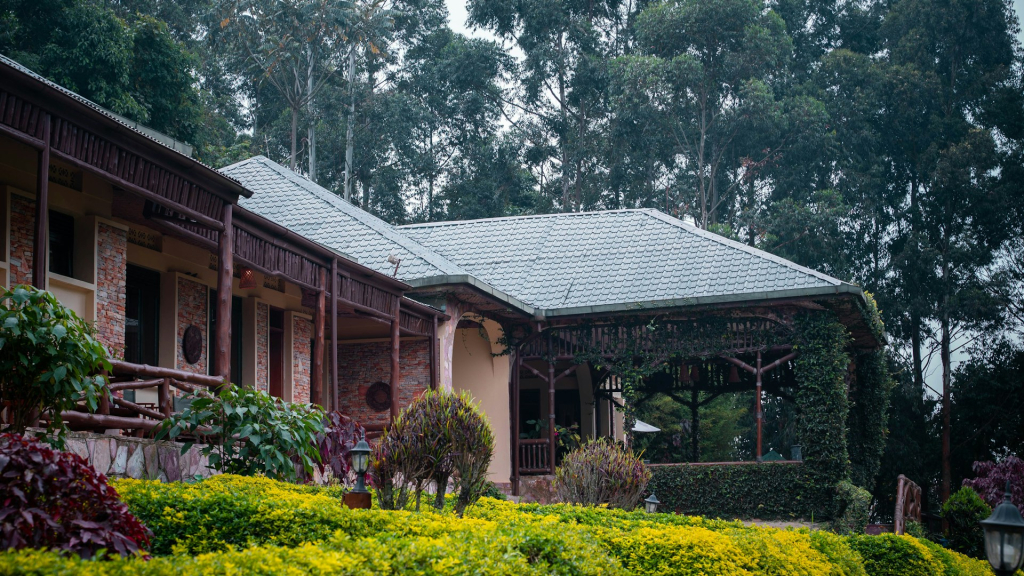 Accommodation and Meals