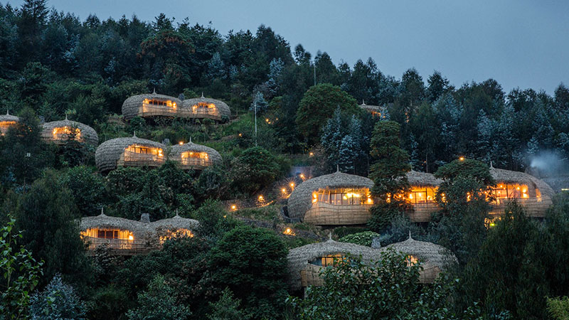 Booking Your Safari