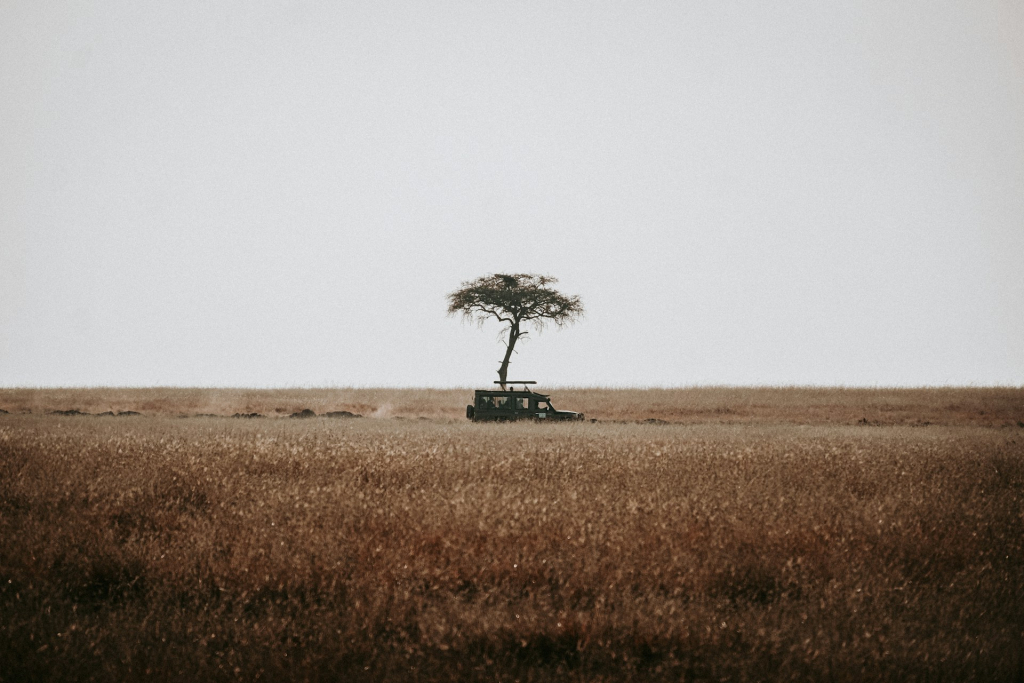 Car Rental Uganda Services