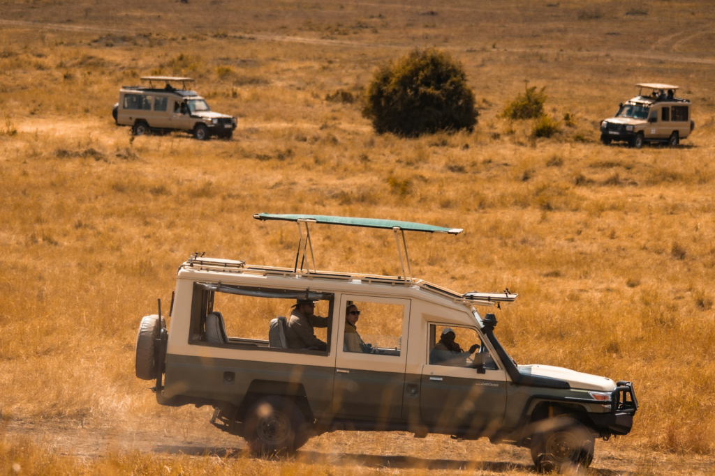So how can you identify the best Uganda safari operator