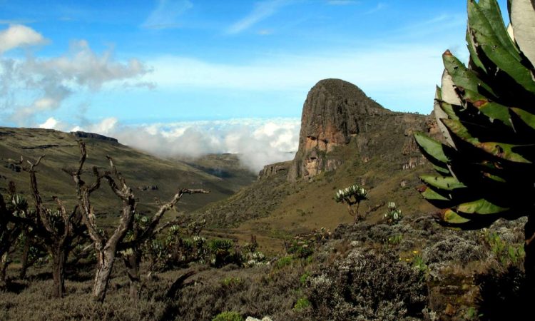 Mount Elgon National Park Tour Operators