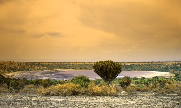 Queen Elizabeth National Park Safaris, Animals & Entry Fees