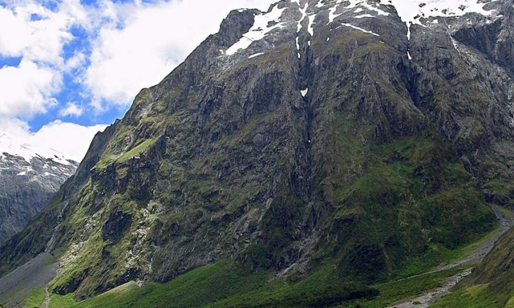 Rwenzori Mountains National Park Tour Operators