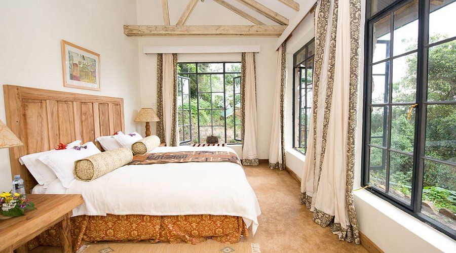 Lodging - Accommodation
