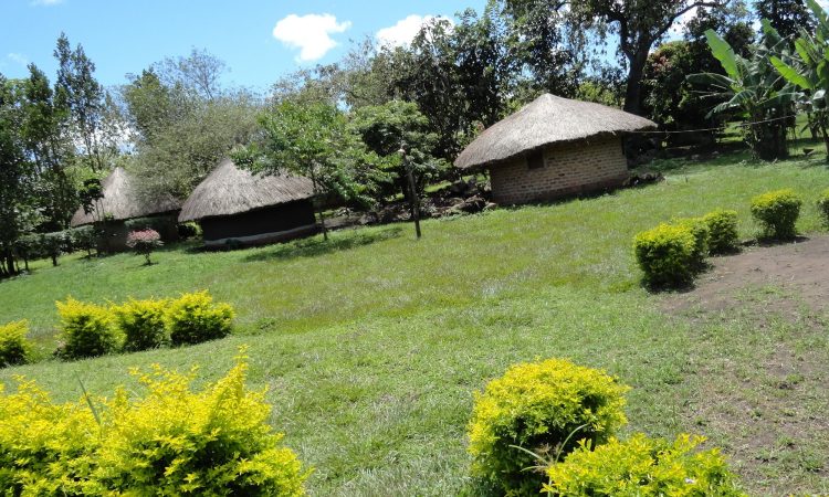 Boomu Women’s Camp