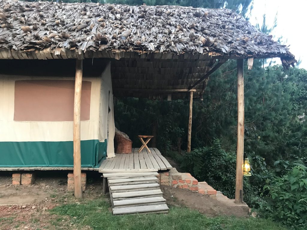 Broadbill Forest Camp