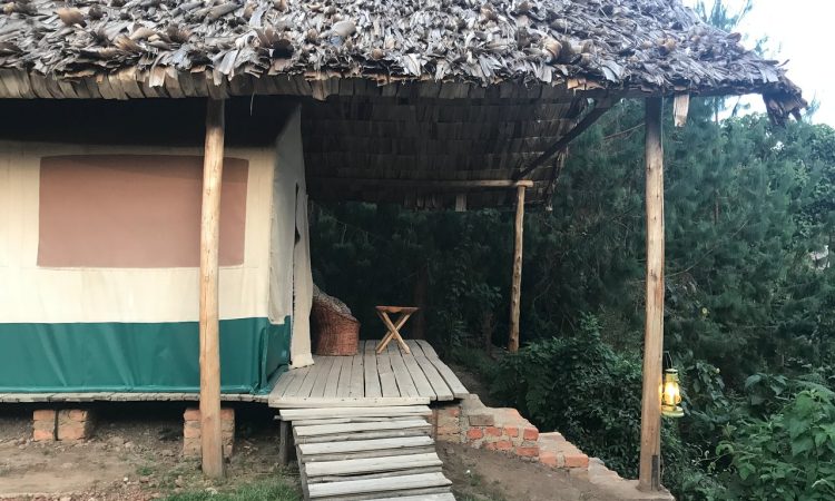 Broadbill Forest Camp - A Rustic Retreat in Bwindi's Ruhija Sector