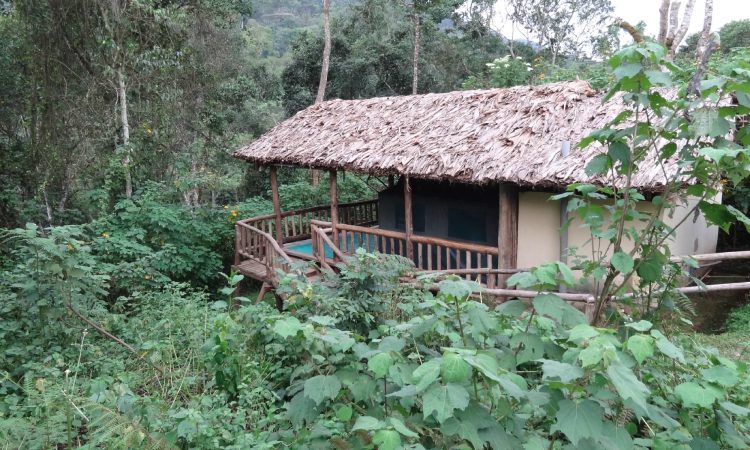 Buhoma Community Bandas