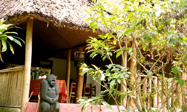 Bwindi View Bandas - Your Gateway to Gorilla Trekking in Buhoma