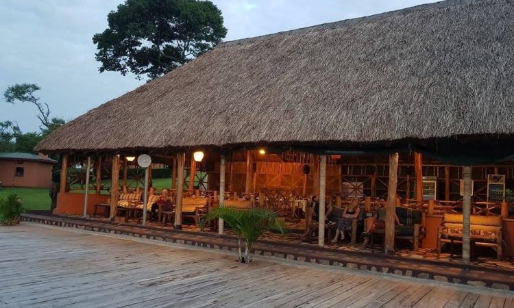 Chimpanzee Forest Guest House