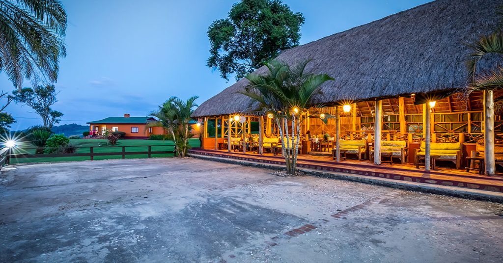 Chimpanzee Forest Lodge