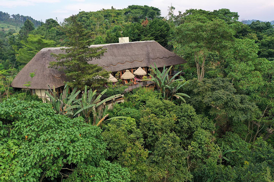 Papaya Lake Lodge