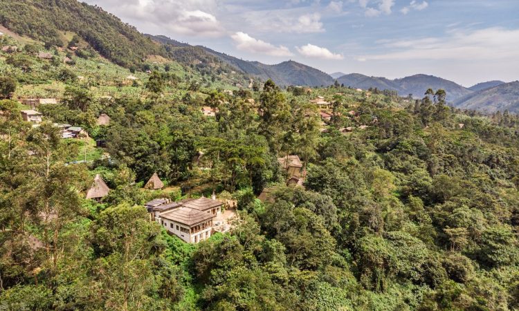 Trekkers Tavern Cottages - A Cozy Stay in Bwindi's Ruhija Sector