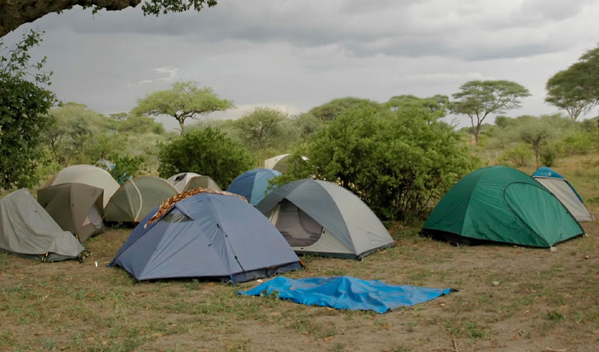 Uganda Wildlife Campsite