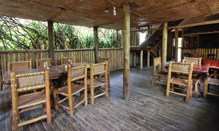 Wagtail Eco Safari Camp - Your Eco-Friendly Base in Bwindi's Rushaga Region