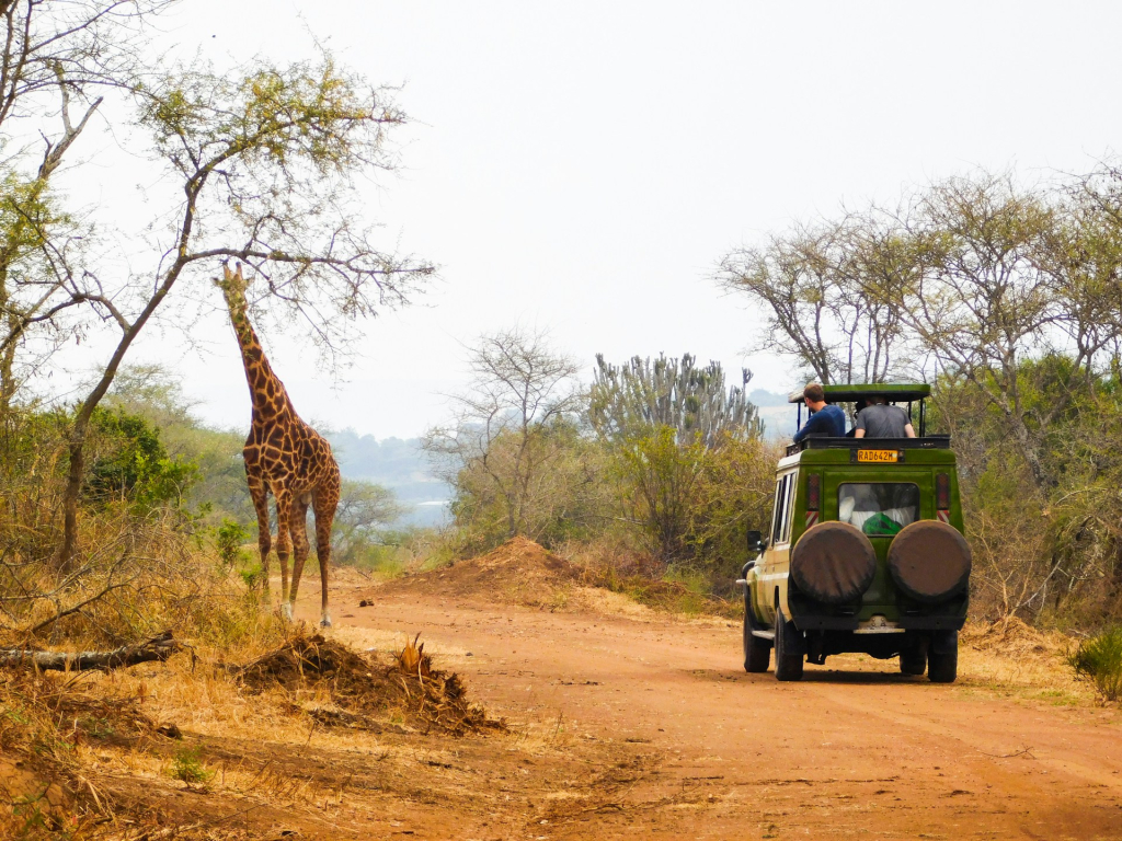 Who is the best Rwanda tour operator