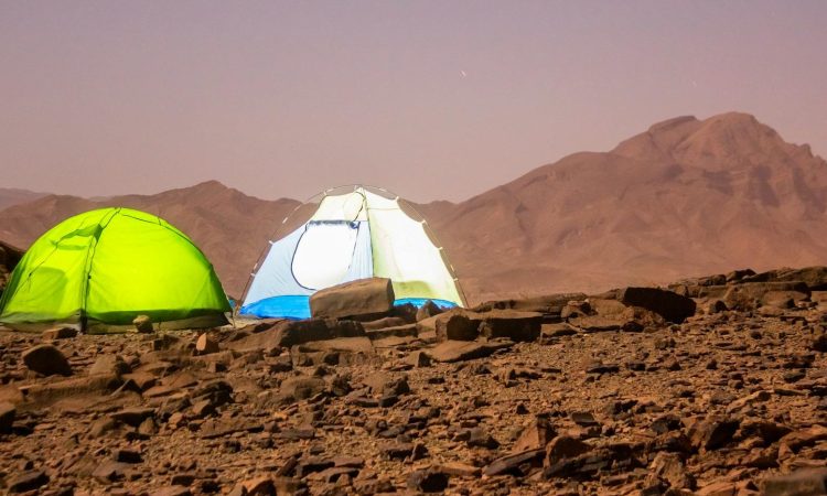 Stay Safe from Lions While Camping - Essential Tips