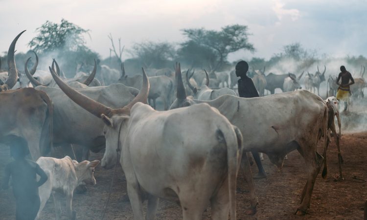 Top Activities in South Sudan - Must-Do Experiences for Travelers