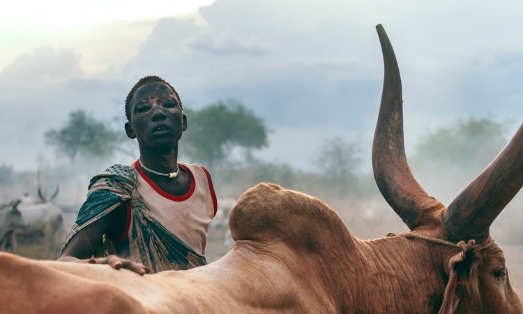 Understanding the Mundari Tribe's Cow Urine Bathing Tradition