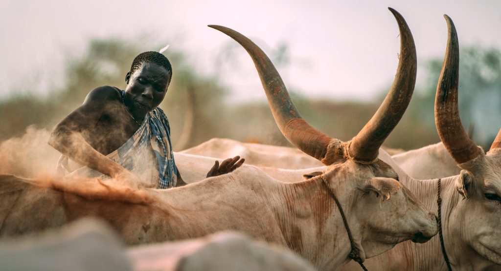 Mundari Tribe
