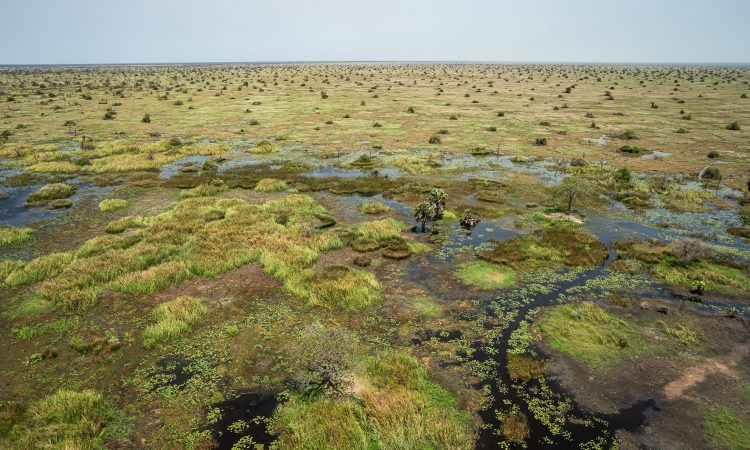 Sudd Wetland - Exploring Africa's Largest Freshwater Ecosystem in South Sudan